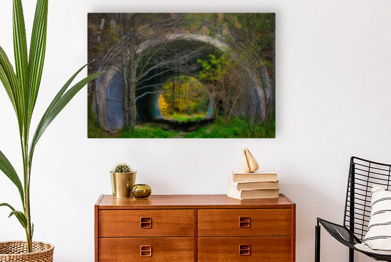 Bear Wallow Culvert by Eduardo Palazuelos