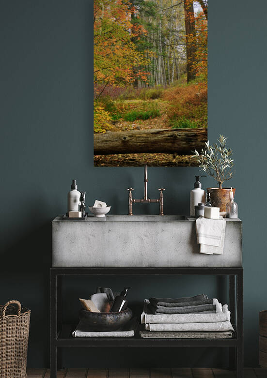  Bear Wallow Fall Tall view by Eduardo Palazuelos