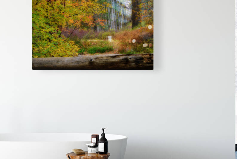 Bear Wallow Fall Wide View by Eduardo Palazuelos