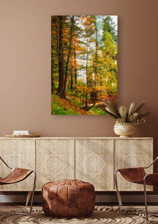 Bear Wallow Tall Trees in the Fall by Eduardo Palazuelos