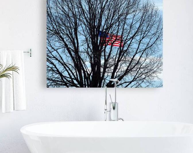 American Flag in Branches at Fort McHenry by Bill Swartwout Photography