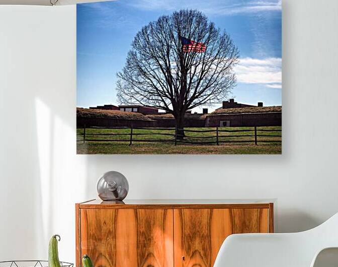 American Flag Tree at Fort McHenry in Baltimore by Bill Swartwout Photography