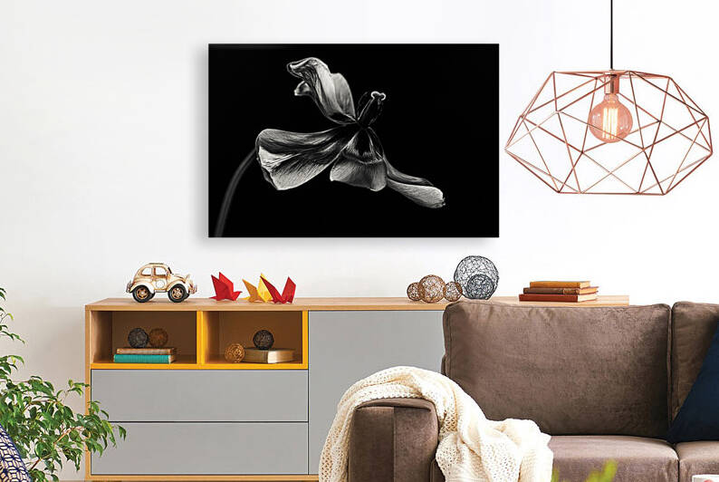 a miracle arises by Maggie Terlecki