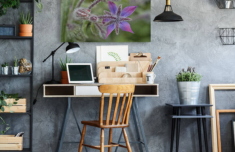 Borage with Morning Dew in Fall by Iris H Richardson