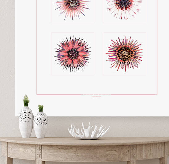 Starburst 2x2   Salmon Rouge and Charcoal 3 by Peter Ballantyne