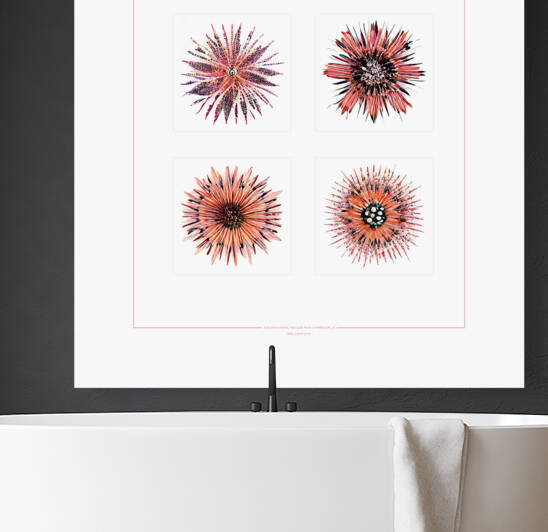 Starburst 2x2   Salmon Rouge and Charcoal 9 by Peter Ballantyne