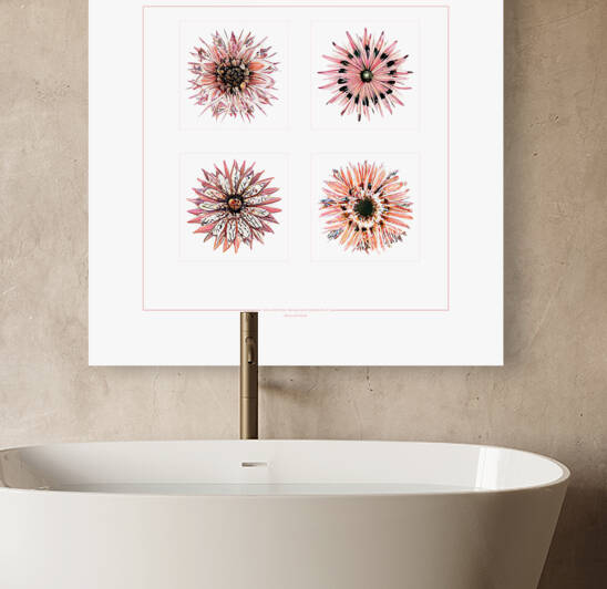 Starburst 2x2   Salmon Rouge and Charcoal 8 by Peter Ballantyne