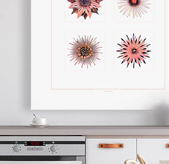 Starburst 2x2   Salmon Rouge and Charcoal 4 by Peter Ballantyne