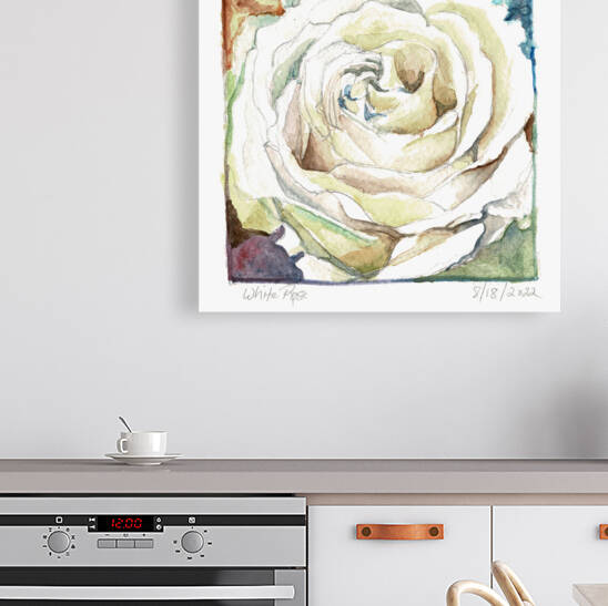 Watercolor Rose by H20colorartist