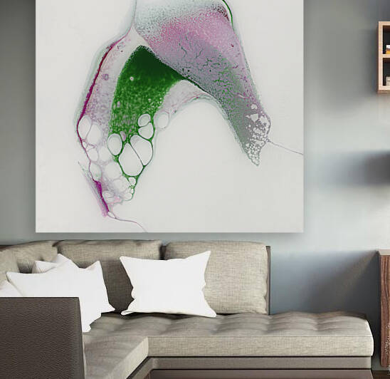 Newness by Carla White