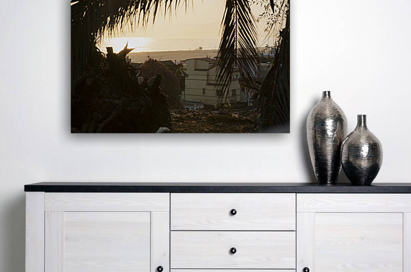 PCH Santa Monica at Sunset Through the Trees by Jean Dzhermakyan