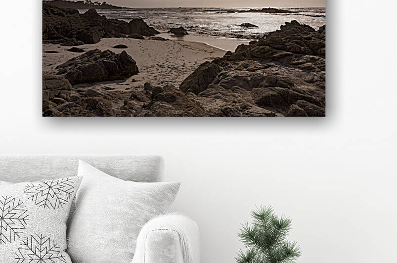 Seal Rock Beach by Jean Dzhermakyan