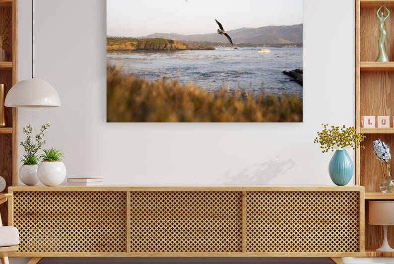 Stillwater Cove Gulls by Jean Dzhermakyan