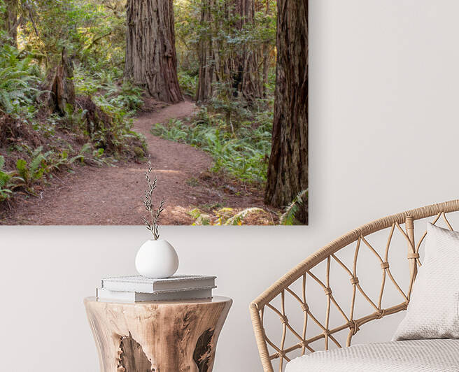 Walking Among Elders by Anthony Farley