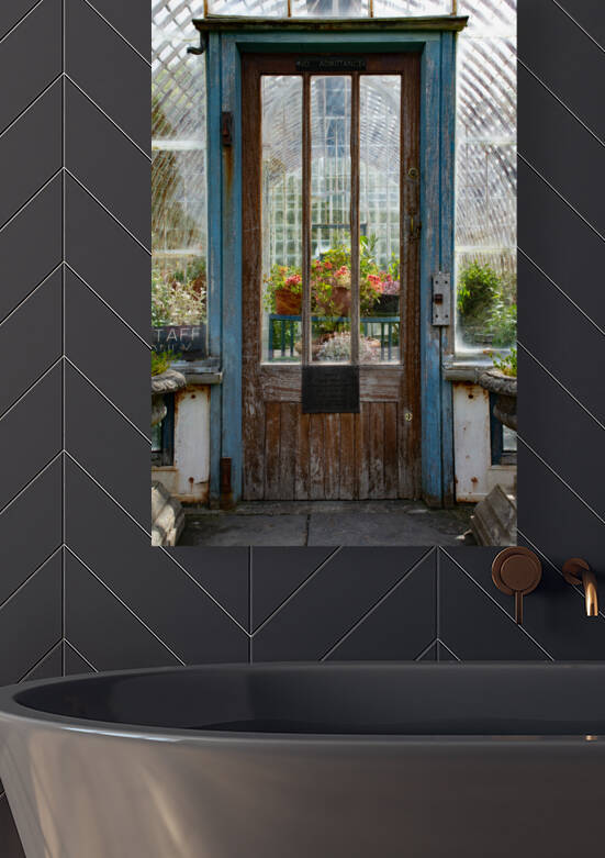 The Dream by Anthony Farley