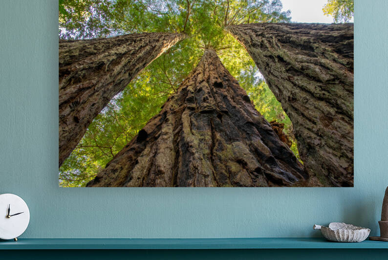 Older Brothers by Anthony Farley