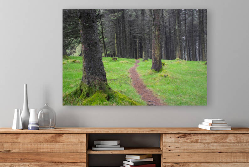 A Walk by Anthony Farley