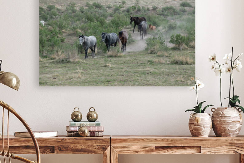 Wild Bunch by Anthony Farley