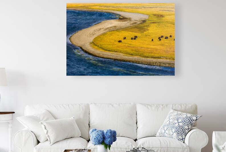 Buffalo by water Yellow Stone  2  2 2 by WEPATTON