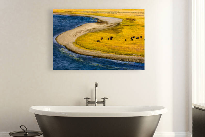 Buffalo by water Yellow Stone  2  2 2 by WEPATTON