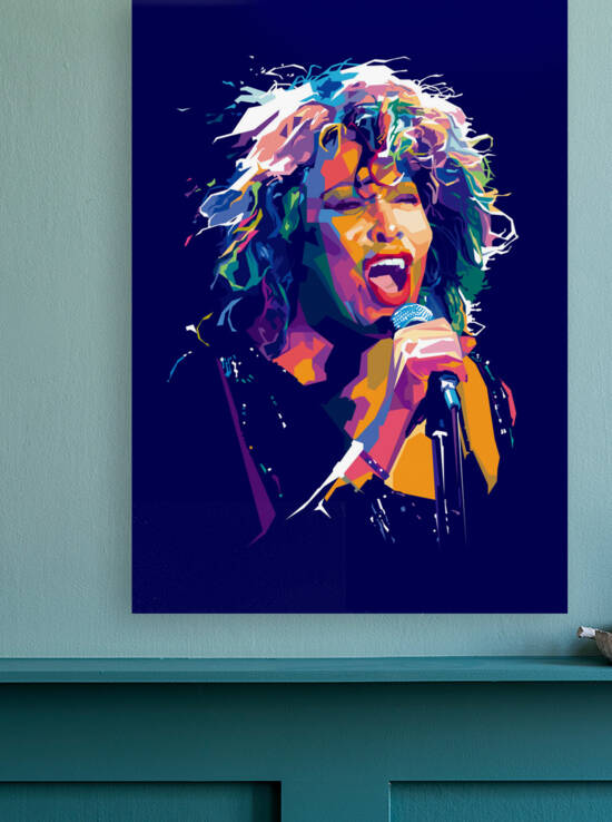 tina turner by DenideNot