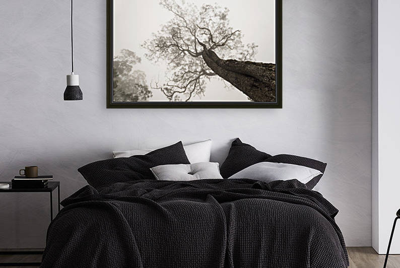 Between Heaven and Earth by 1x