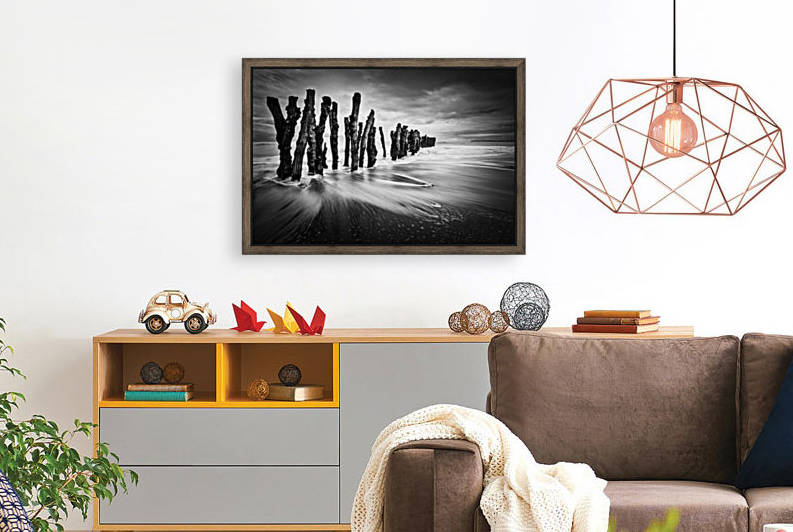 timber graffiti by 1x