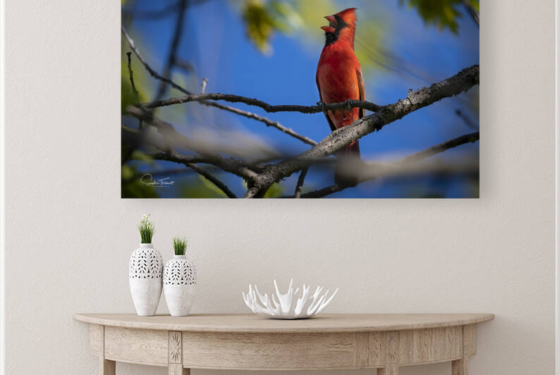 À tue tête by Sophie Thibault