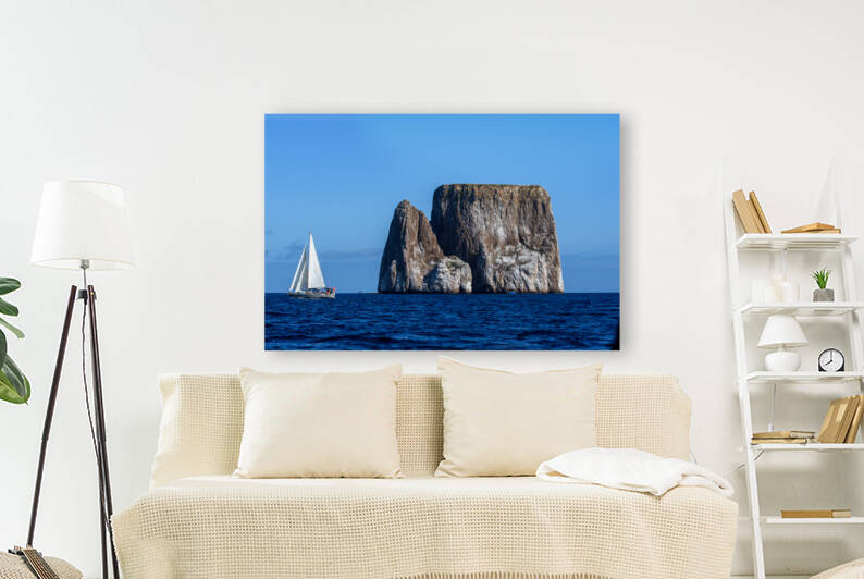 Kicker Rock by Dan Hart