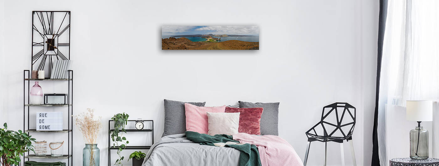 Galapagos Panorama by Dan Hart