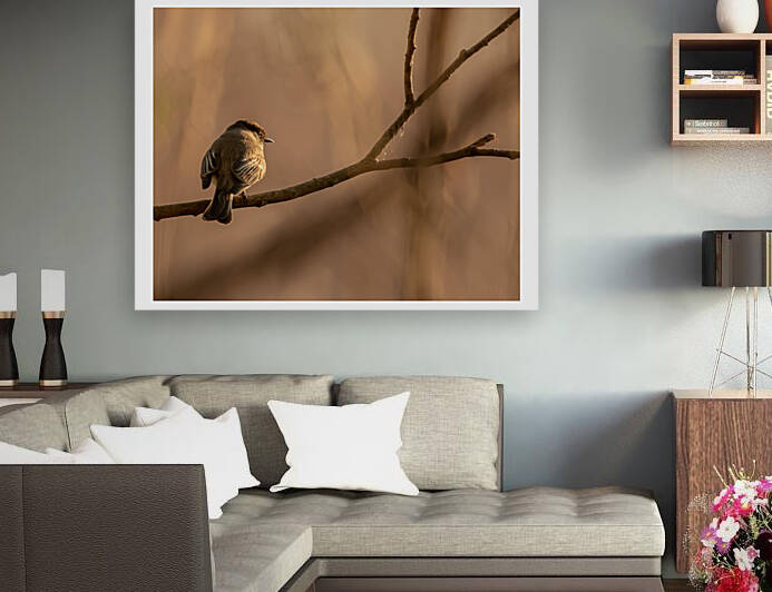 Watching Sunset by Dan Hart