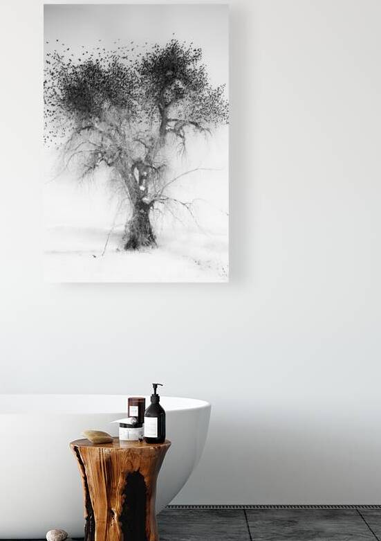 Treefull by Bo Insogna