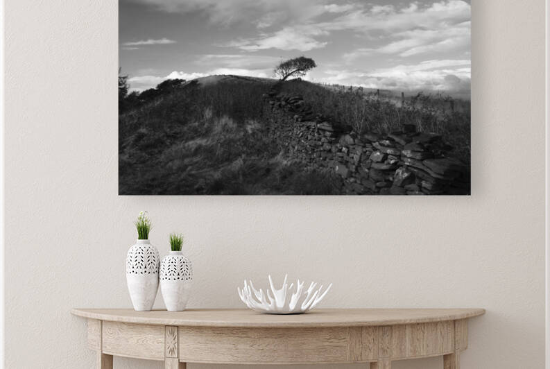 Solitary tree and ancient stone wall - England by fotojourneys
