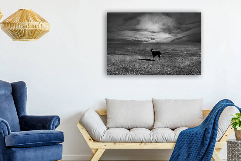 Waiting  by fotojourneys