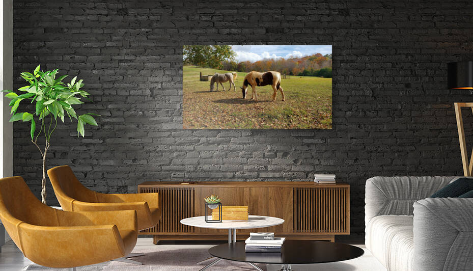 Horsing Around by The NC Geek