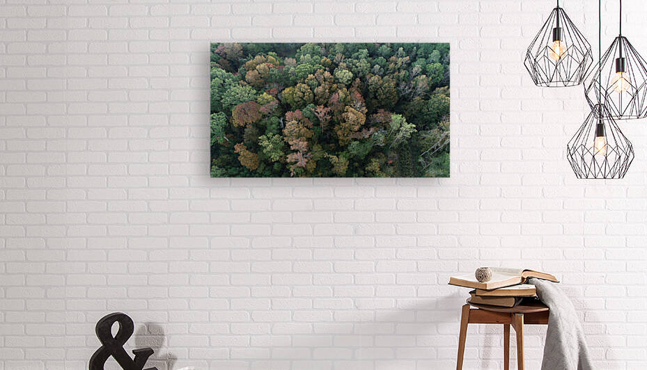 The Leaves Are Changing by The NC Geek