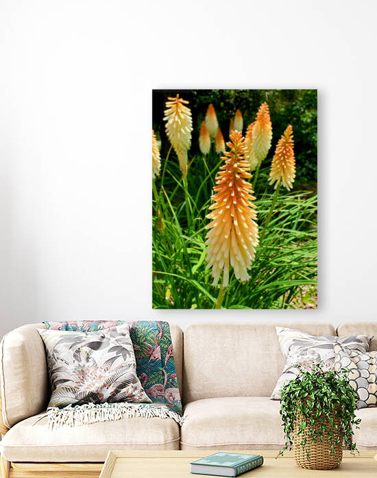 On a Stick  by The NC Geek