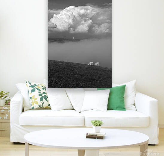 Clouds and sheep - North West England by fotojourneys