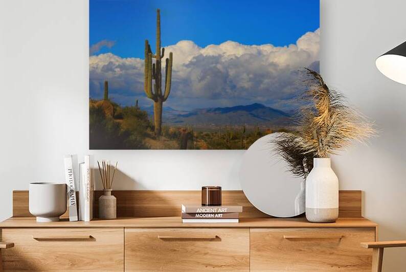  Amazing Giant Saguaro Cactus by Bo Insogna