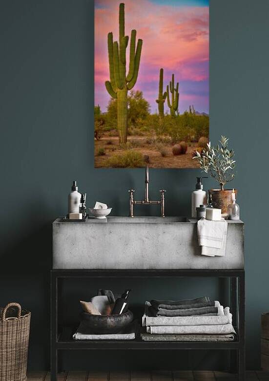 Desert Spring by Bo Insogna