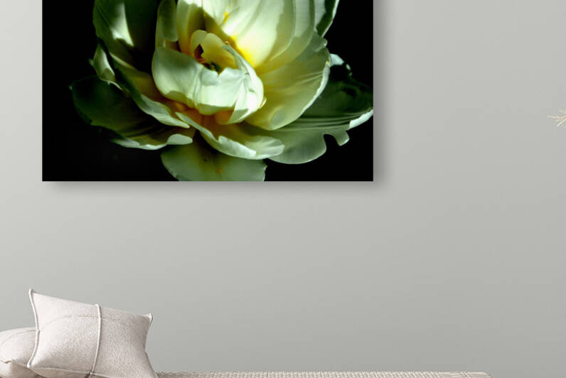 fleur blanche by Sylvie Leandre