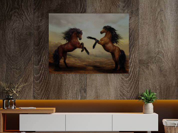 two beautiful young stallions playing in desert by artcenter