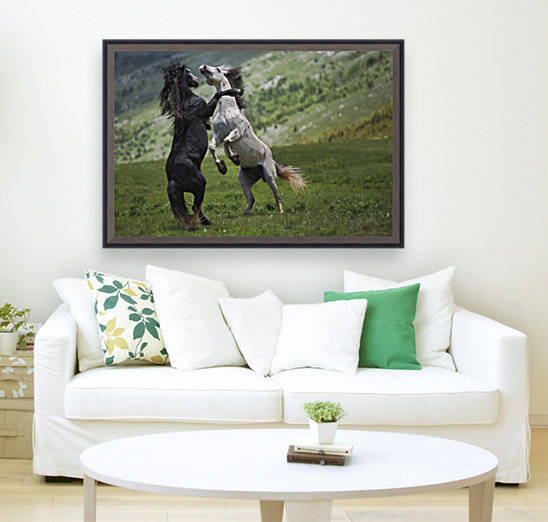 black and white by 1x