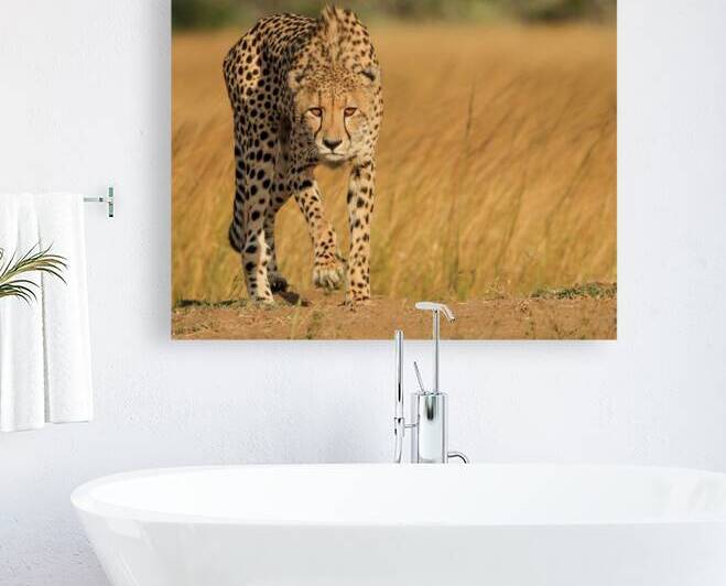 Focused intensity by 1x