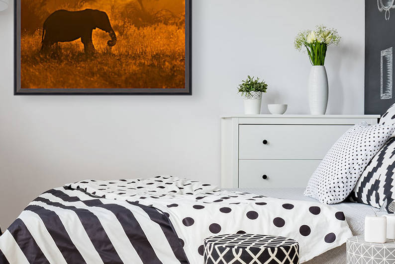 Golden Elephant in Savute by 1x