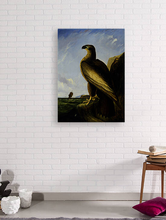 John James Audubon   Washington Sea Eagle   G by artcenter