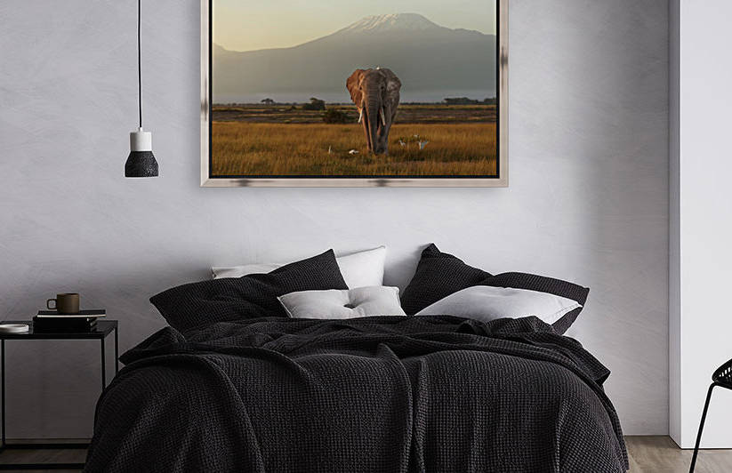 Under the roof of Africa by 1x