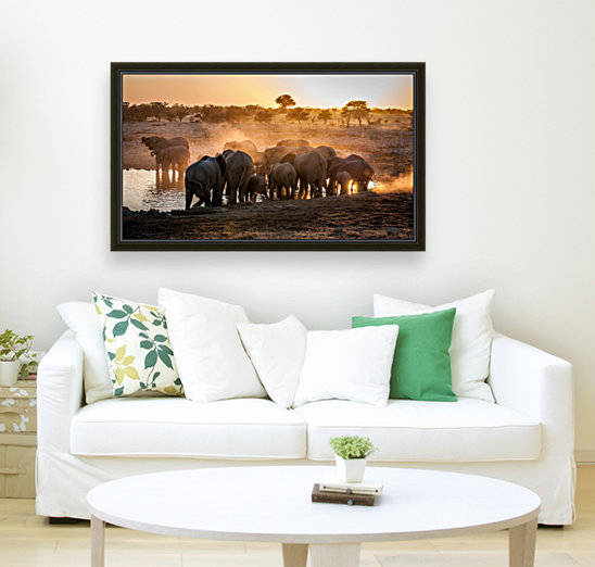 Elephant huddle by 1x