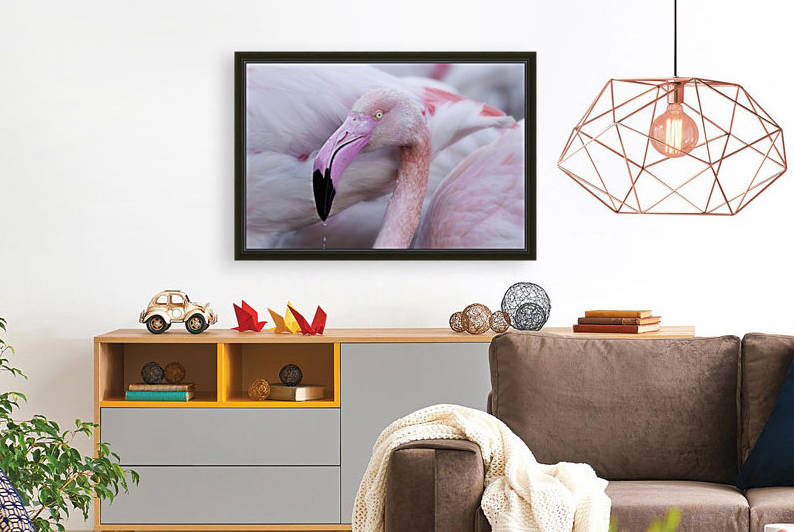 Unique mildness by 1x