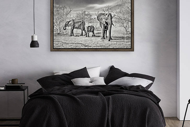 dry season (bw) by 1x